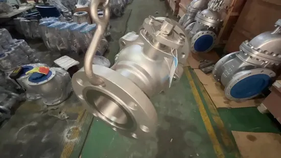 Ministry of Chemical Industry High Pressure Petrochemical Special Ball Valve 