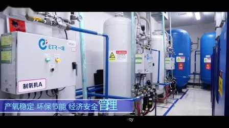Medical Zeolite Molecular Sieve Psa O2 Making Machine 