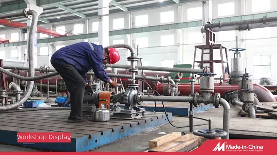 Hxk Rotary Case Pumps for Power Generation, Paper, Petrochemical Industries 